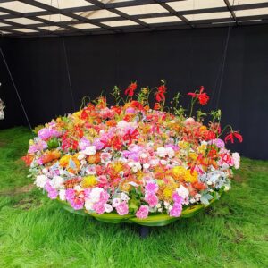 Floral display in a competition